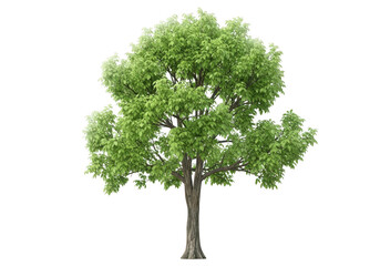 Vintage record player and vinyl records in a sunlit forest setting