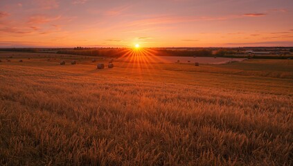 Fototapeta premium Beautiful sunset illuminating an expansive autumn field filled with hay bales, seasonal change