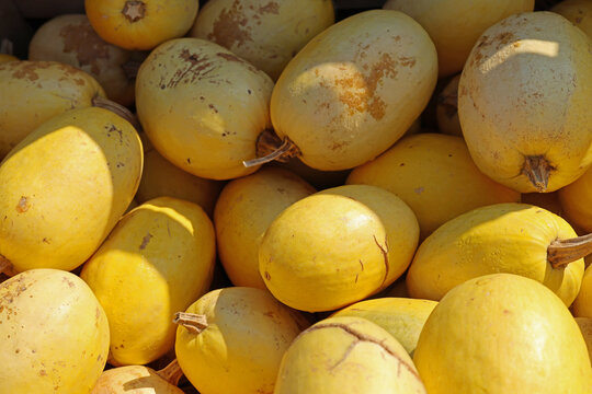 Pumpkins stacked at a market stall in autumn
