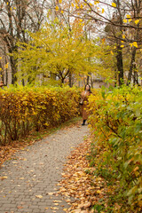 Woman in brown coat walking along an alley in an autumn park