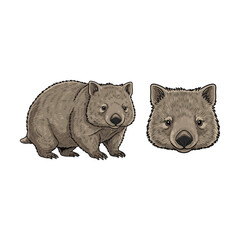 Wombat Fullbody and Head Illustration for Product Design