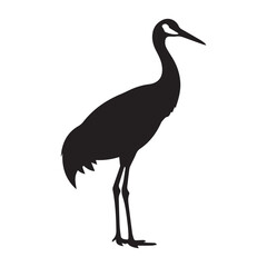 Obraz premium Black silhouette of a standing crane bird animal wildlife