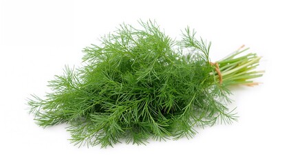 Fototapeta premium Fresh green dill arranged in a bunch, ideal for culinary use,