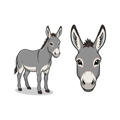 Donkey Animal Fullbody and Head Illustration
