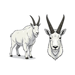 Mountain Goat Cartoon Fullbody and Close Up Illustration