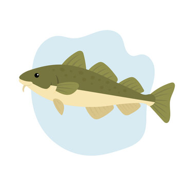 Arctic cod swims gracefully in cold northern waters, cod thrives beneath icy surface, cod remains vital for marine ecosystem and arctic life balance, symbol of resilience and nature.