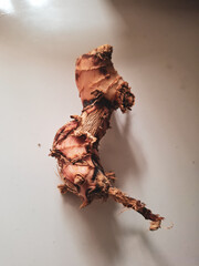 dry herbs food and health