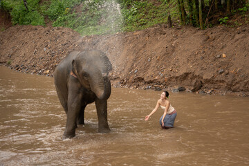 Fototapeta premium Asian woman interacting playfully with an elephant bathing and splashing water in a muddy river