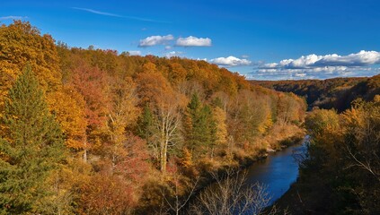 Mississippi Palisades State Park scenery, showcasing seasonal autumn leaves, ideal for nature-themed layouts
