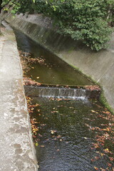 落ち葉が浮いている秋の住宅街を流れる小川