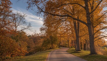 Obraz premium A picturesque autumn trail bordered by tall trees displaying vivid foliage beneath a serene sky, seasonal change