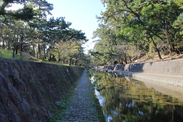 秋の夙川の清き流れ(兵庫県西宮市)