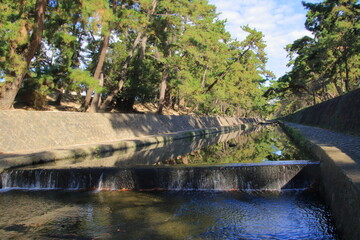 秋の夙川の清き流れ(兵庫県西宮市)