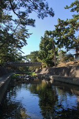 秋の夙川の清き流れ(兵庫県西宮市)