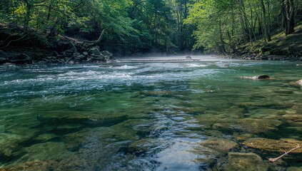 Obraz premium A serene river flows softly, glistening water winding around smooth pebbles and vibrant foliage, seasonal change