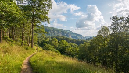 Fototapeta premium Lush green woodland in a serene setting, showcasing seasonal change