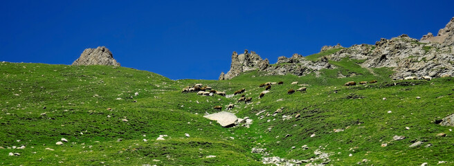 The beautiful scenery of Xinjiang, Asia