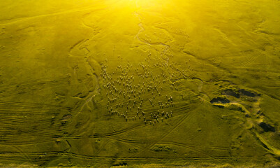 The beautiful scenery of Xinjiang, Asia