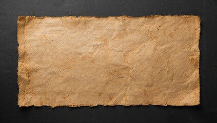 A blank sheet of papyrus, suitable for writing and artistic endeavors