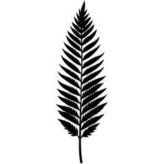Fototapeta premium leaf isolated on white background