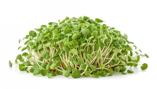 Heap of radish micro greens on a white surface, symbolizing nutritious eating and vitamins from nature
