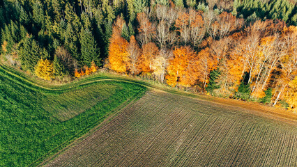 Aerial farmland field golden autumn forest edge landscape Allgau Germany © YARphotographer
