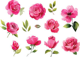 watercolor set of hot pink roses flowers clipart