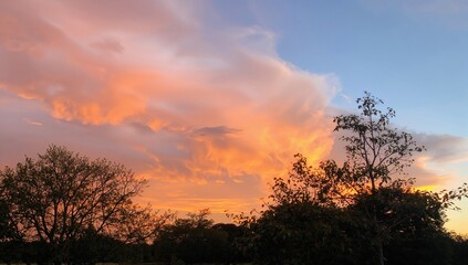 Clouds silhouetted against a sunset sky, seasonal change