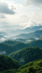 Naklejka premium Serene hills covered with lush foliage in a mountainous range, fog hovering over the landscape under a lightly clouded sky