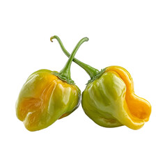 Two vibrant green and yellow chili peppers with crossed stems