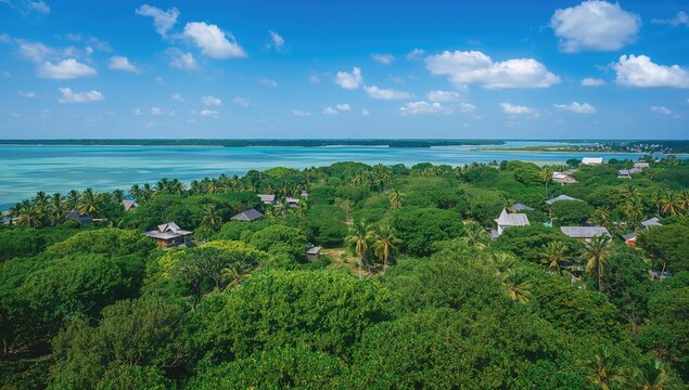 Aerial view of a green tropical mangrove forest with a village on Koh Kood island, highlighting natural beauty and summer travel