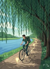 Cycling Through Serene Willow-Lined Path - A Moment of Peaceful Commute.