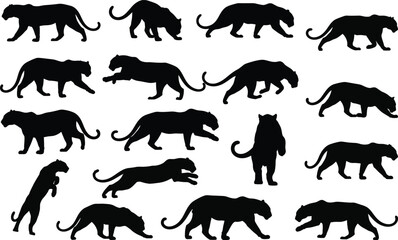 Tiger silhouette set