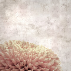 square stylish old textured paper background with copper colored pompom chrysanthemum flower