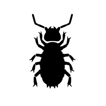 Solid black springtail silhouette vector icon.