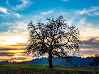 Fototapeta premium Sonnenuntergang mit stark bewölktem Himmel