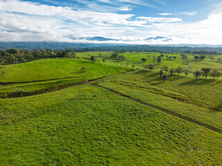 Fototapeta premium Aerial view of a beef cattle farm on sustainable mountain farm in Panama, Central America - stock photo