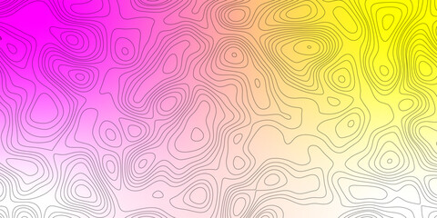 Topography map background. Vector geographic contour map. White background topography contour map with black curve lines.  