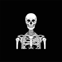 Organ Systems in the Human Body: Types, Parts, and Functions