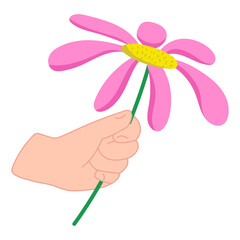 Hand Holding a Pink Daisy Flower with a Yellow Center on a Green Stem Against a Transparent Background