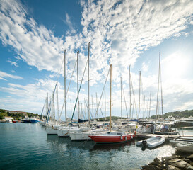 Fototapete bei efototapeten.de bestellen   