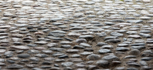 Close-up view of a cobblestone path featuring round, smooth stones