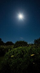 Bright moonlight illuminates a starry night sky above dense foliage filled with glowing insects