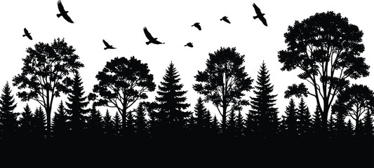 Forest silhouette, flying birds, nature illustration, wildlife scene, tree variety, black background, peaceful landscape, outdoor view, natural beauty, ecosystem art