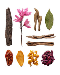 Botanical dried flower and spice composition PNG die-cut, isolated natural plant materials on transparent, organic craft design element for packaging, collage art and natural texture creation projects