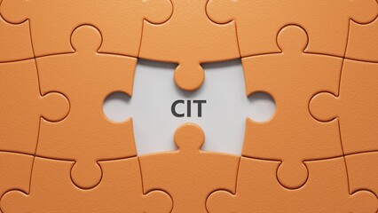 Fototapeta premium Three puzzle pieces with missing pieces with letters CIT.close up of puzzle pieces with missing pieces,Business Concept.3D rendering. 
