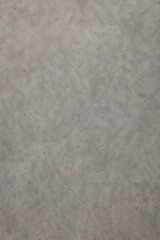 Light grey stone surface with a subtle rough texture and fine natural imperfections. Suitable for architectural visuals, concrete-style designs, and minimalist backgrounds.