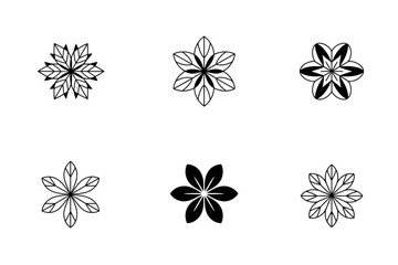 Six floral designs in black and white showcasing different botanical patterns and artistic flower arrangements