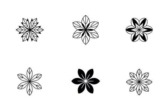 Six floral designs in black and white showcasing different botanical patterns and artistic flower arrangements