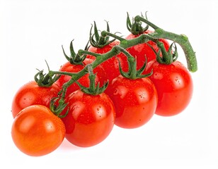 Closeup of Red Cherry Tomatoes on the Vine